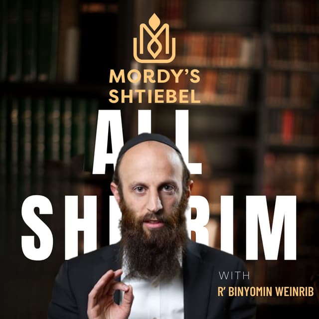 Rabbi Binyomin Weinrib — The Mordy Shteibel
